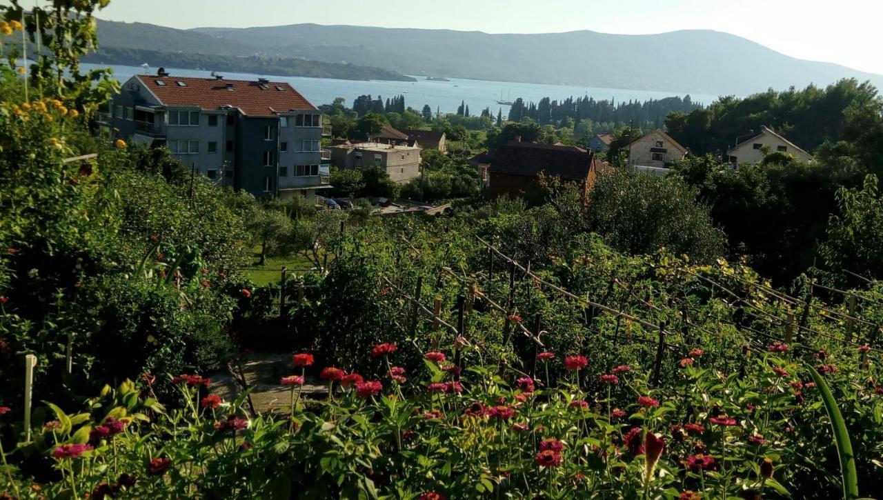 Apartmani Bosco Tivat Exterior foto