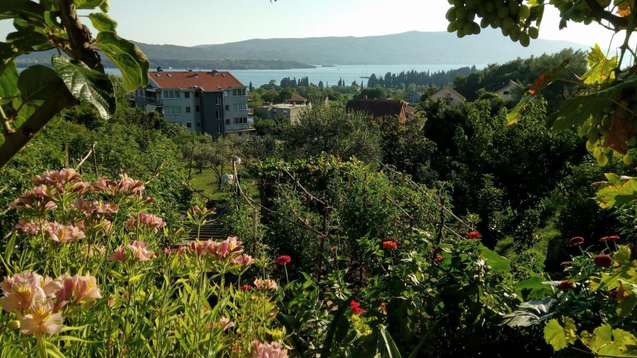 Apartmani Bosco Tivat Exterior foto