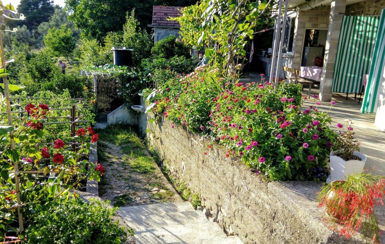 Apartmani Bosco Tivat Exterior foto