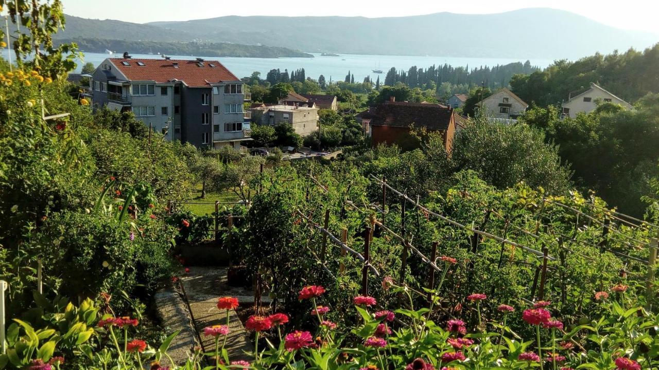 Apartmani Bosco Tivat Exterior foto